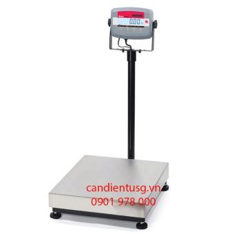 Cân bàn điện tử T31P OHAUS