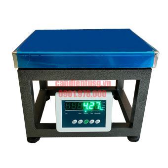 Cân Ghế Điện Tử B19A 300kg