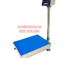 can-ban-dien-tu-chong-nuoc-ds-166ss-100kg