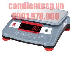 can-dien-tu-gia-re-nam-2025