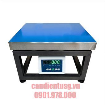 Cân Ghế Điện Tử B19A 60kg