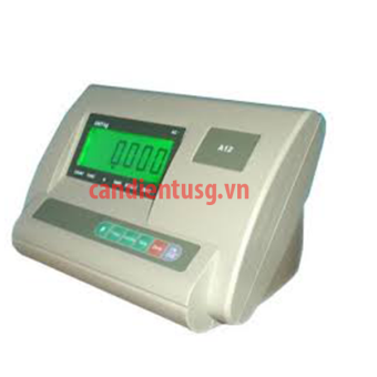 Đầu Cân Điện Tử A12