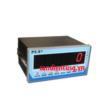 Đầu Cân Xe Tải P5-S
