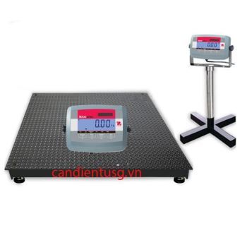 Cân Sàn Điện Tử 2 Tấn -T31P