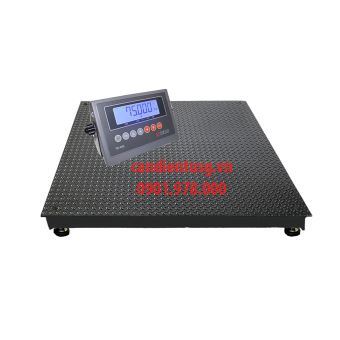 Cân Sàn Điện Tử 3 Tấn TD-WS