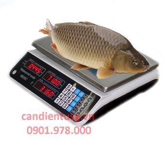 Cân Tính Tiền Chống Nước WRS-30KG