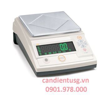Cân Điện Tử TDF-A3000
