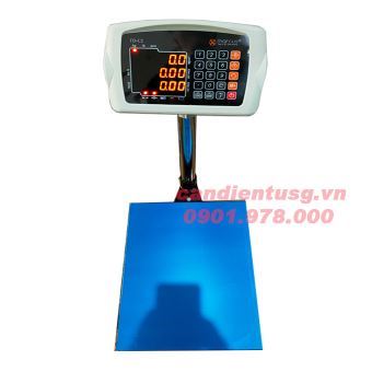 Cân Điện Tử Đếm Số Lượng TD-C2