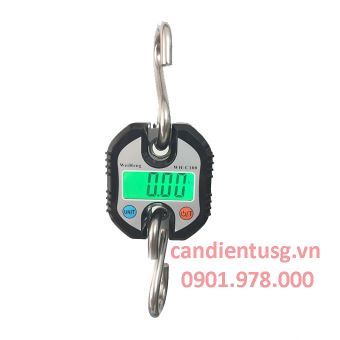 Cân Treo OCS C-100